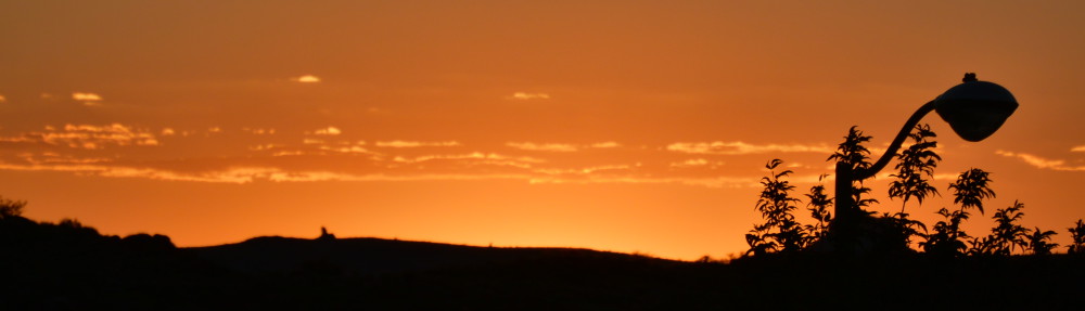 Stibbels – Travelbook